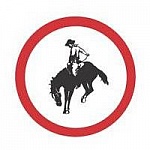 agency