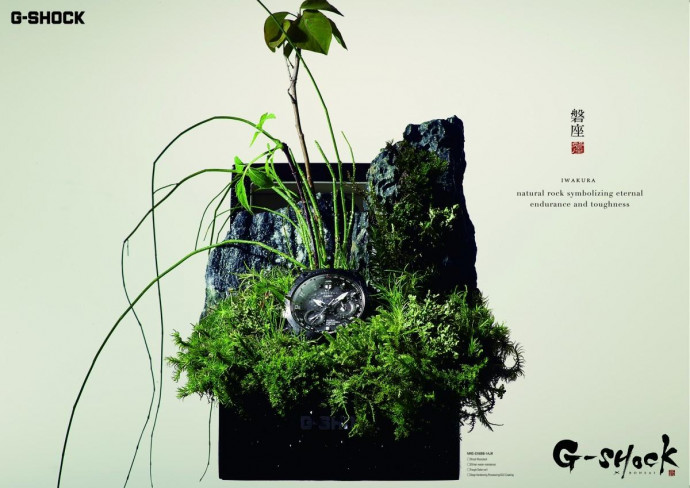 G-Shock: Bonsai 3