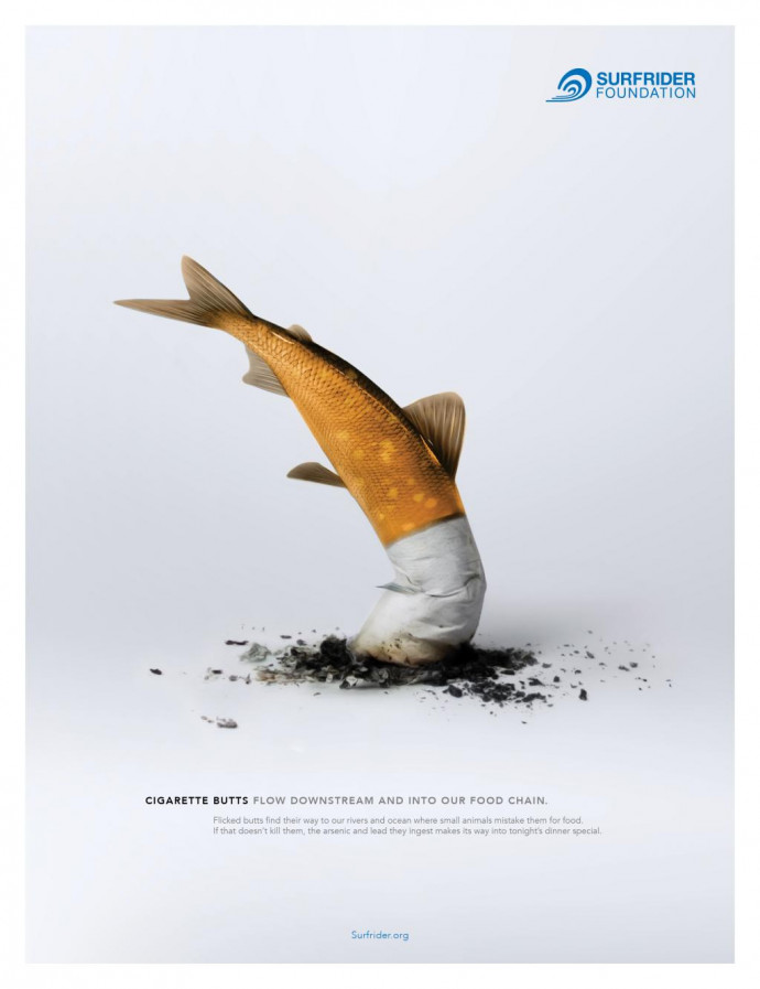 Surfrider Foundation: Fish