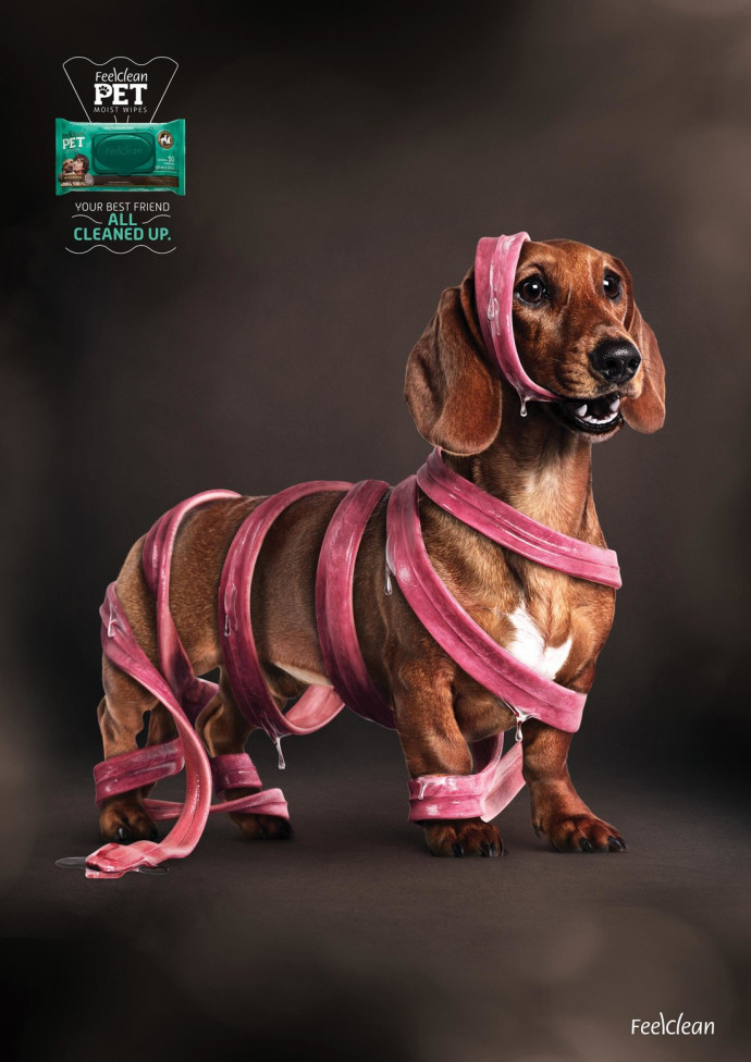 Feel Clean: Dog