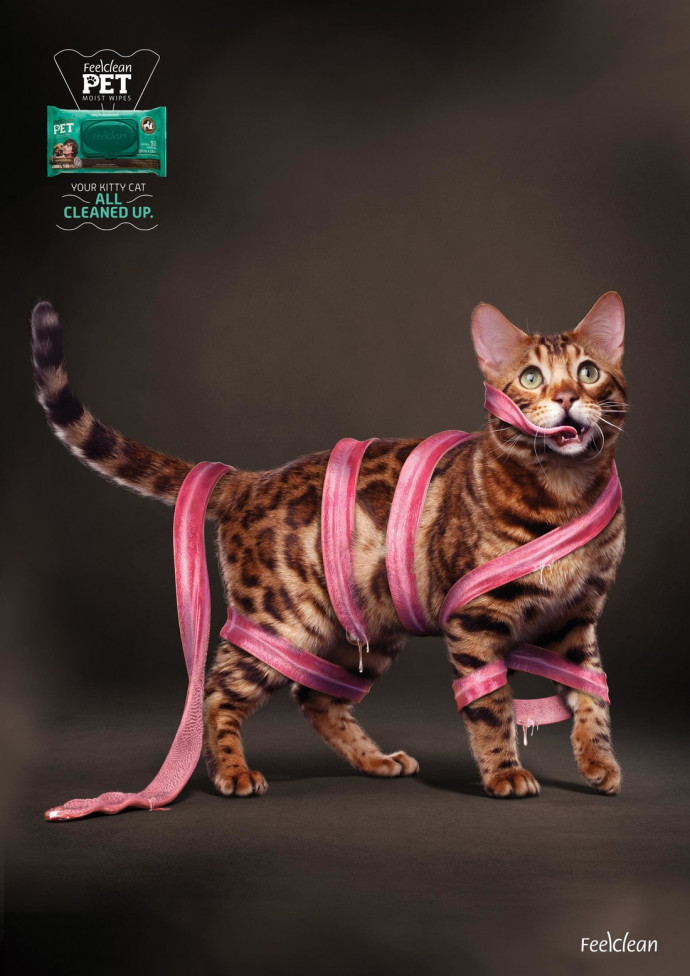 Feel Clean: Cat