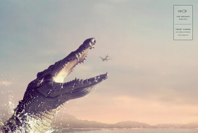 Trust Cargo International: Crocodile