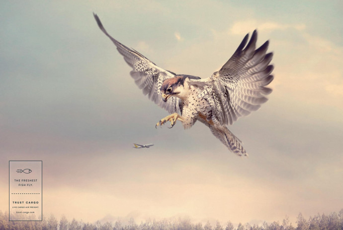 Trust Cargo International: Falcon