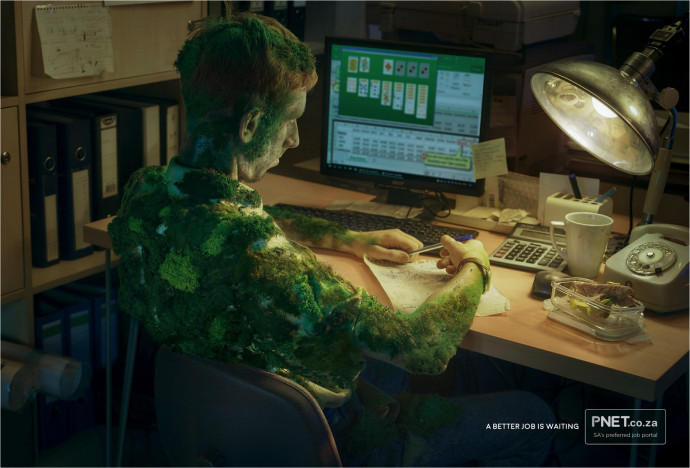 PNet: Moss