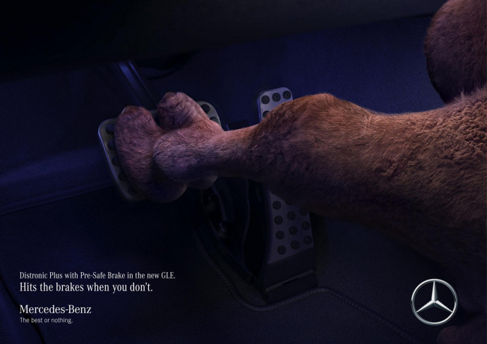 Mercedes: Camel saves camel