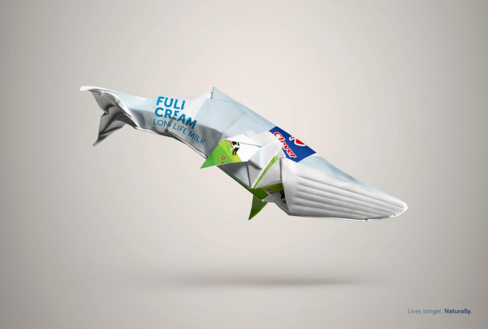 Clover: Whale