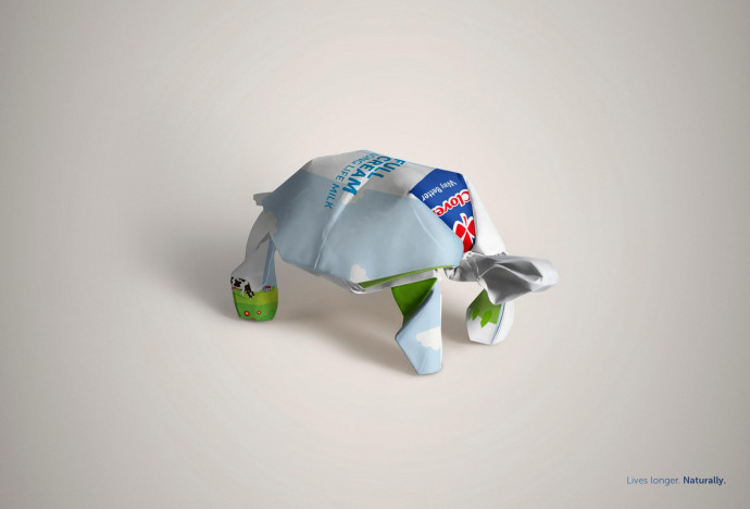 Clover: Tortoise