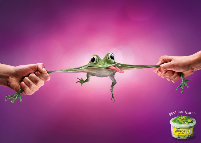 Lolipop: Frog