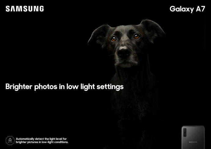Galaxy A7 Feature: Dog