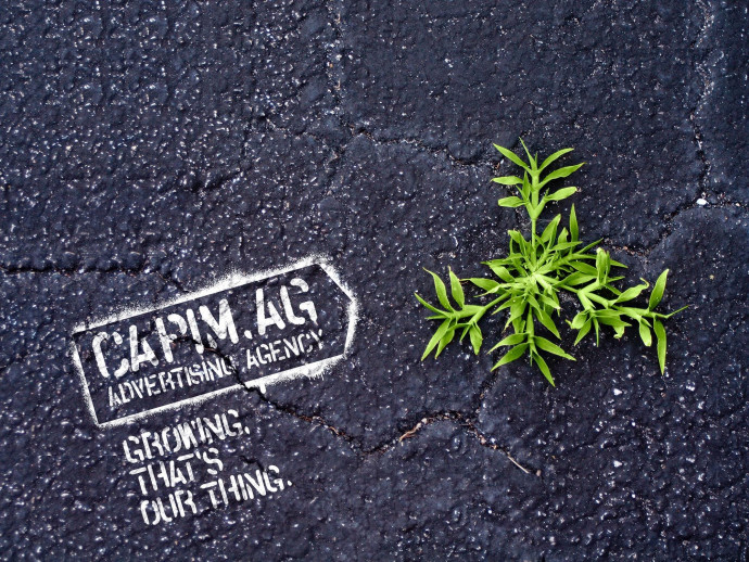 Capim.AG: Growing, 2