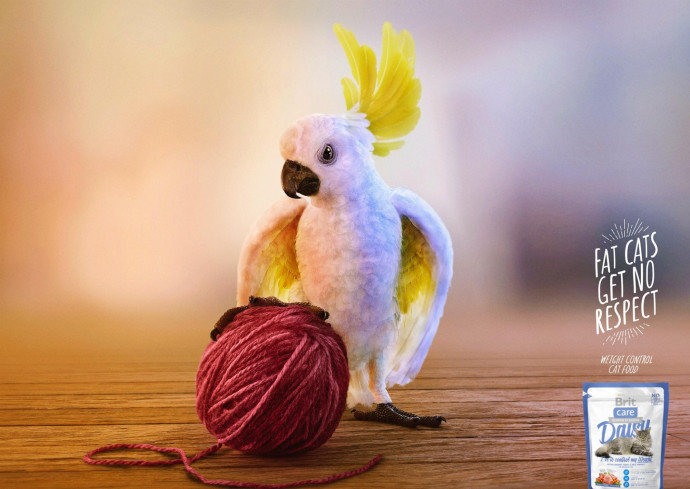 Brit: Parrot
