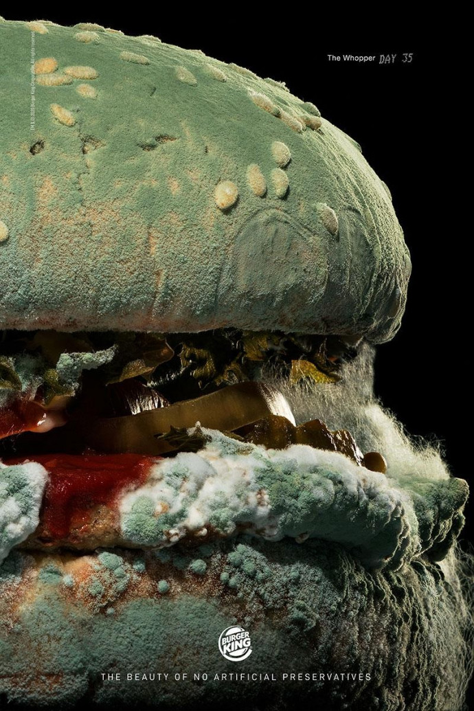 Burger King: The Moldy Whopper, Day 35