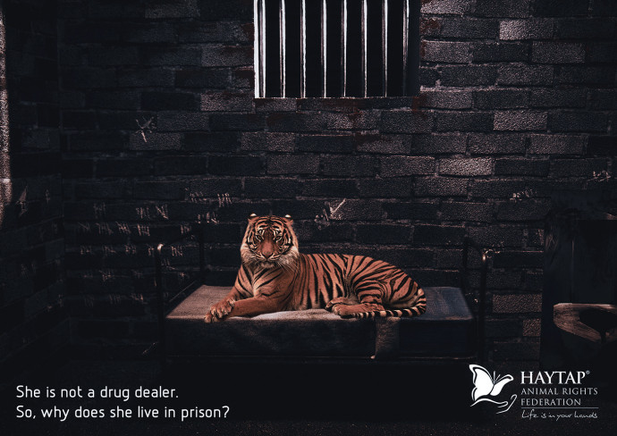 Haytap: Prison of Innocence, 3