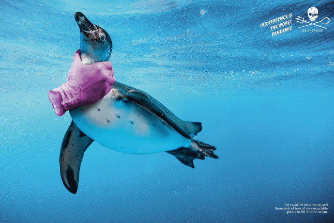 Sea Shepherd: Gloves, 2