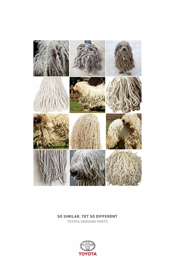 Toyota: Mop
