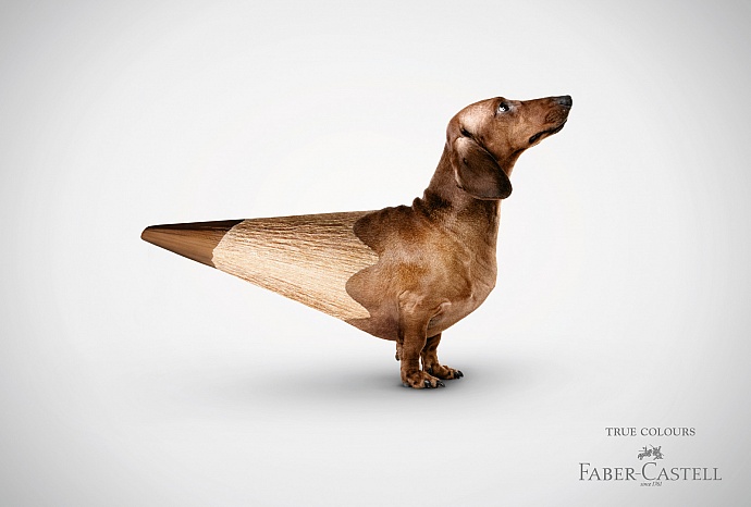 Faber-Castell: Dachshund