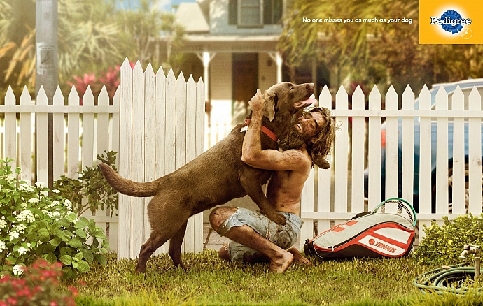 Pedigree: Castaway
