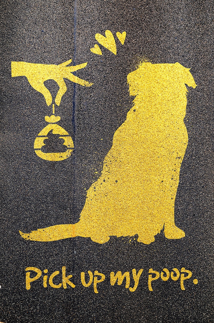 Dogs Trust: The Big Scoop, 9