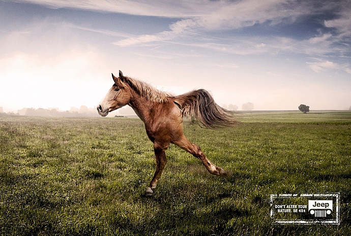Jeep: Horse