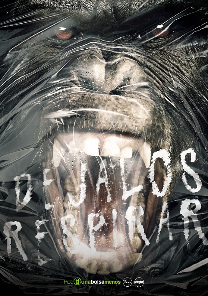 Mi Planeta &Eacute;xito: Let them breathe, 2