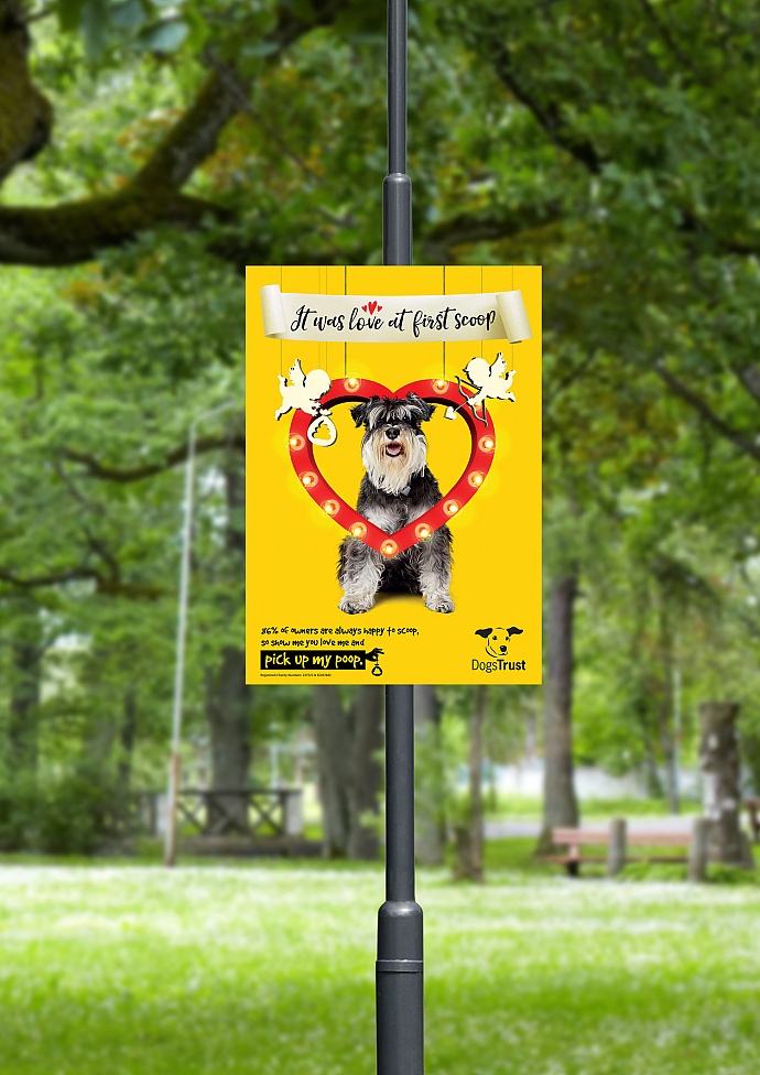 Dogs Trust: The Big Scoop, 8
