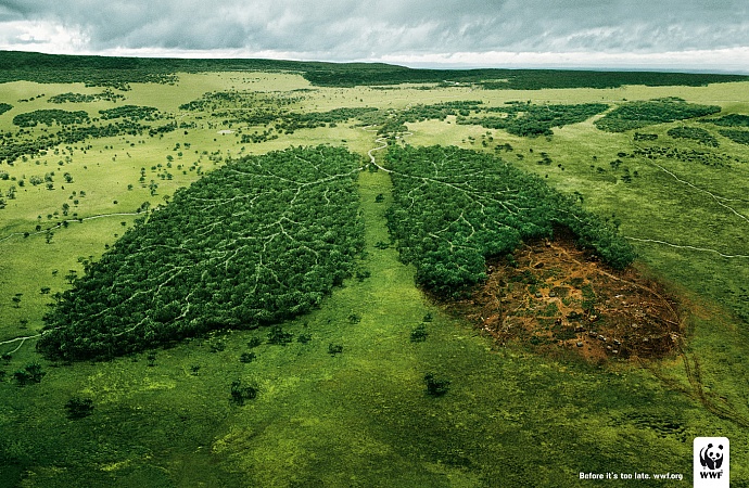 WWF: Lungs