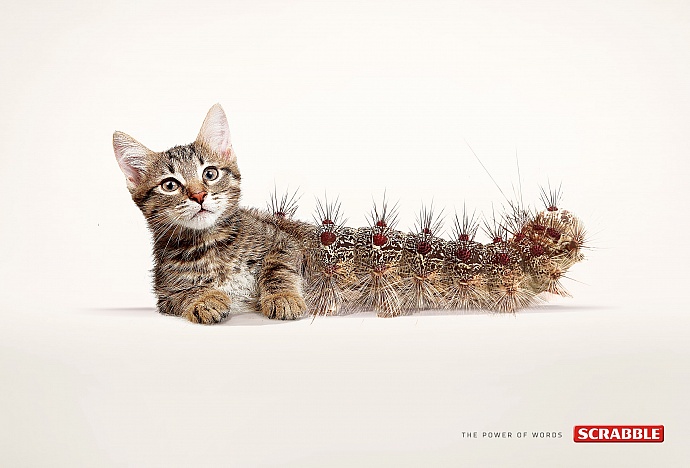 Scrabble: Cat-erpillar