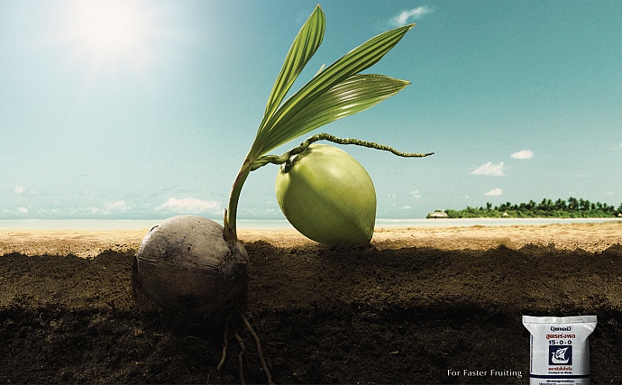 Viking Fertilizer: Coconut