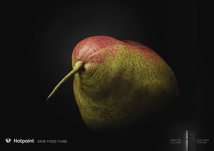 Hotpoint: Kiwi bird