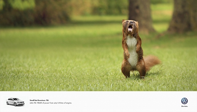 Volkswagen: Bearrel