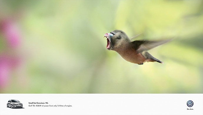 Volkswagen: Humboon