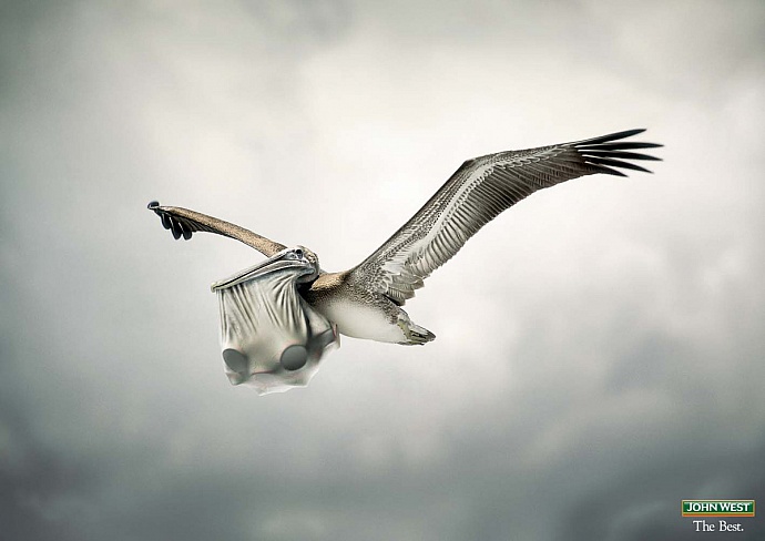 John West: Pelican