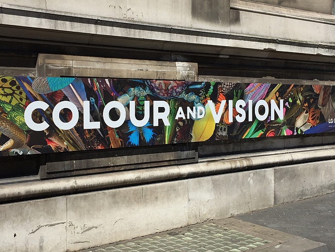 Natural History Museum: Colour and Vision, 1