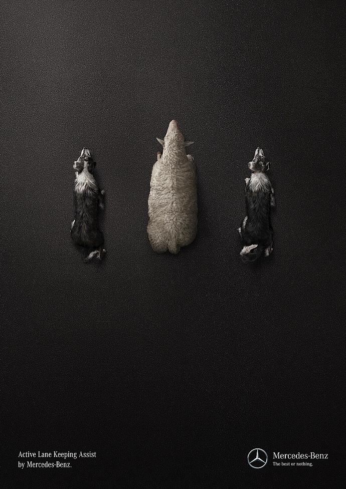 Mercedes-Benz: Sheep