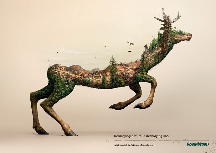 Robin Wood: Deer