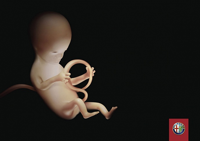 Alfa Romeo: Foetus