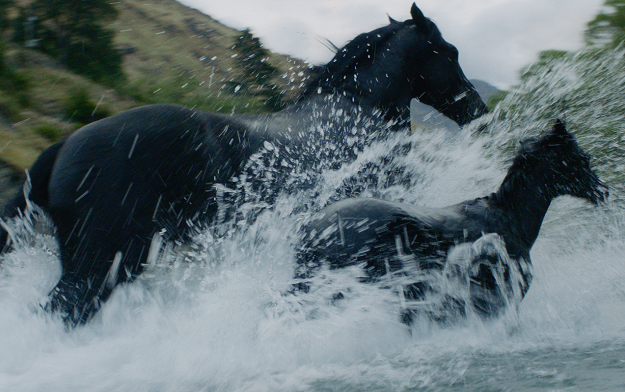 Ad of the Day | adam&eveDDB creates "Epic Journey" brand campaign for Lloyds Bank