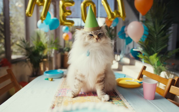 Ad of the Day | REVERSE Director Romain Quirot Celebrates Patient Empowerment With CareCredit