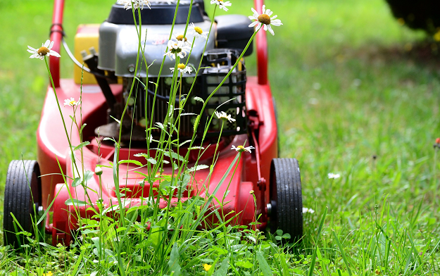 Social Media Success: A Comprehensive Guide to Marketing Your Landscaping Business