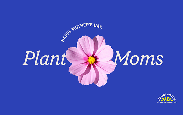 Pennington Celebrates Overlooked Plant Moms for Mother's Day in Humorous Spot