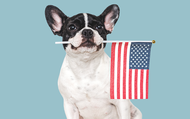 Blue Buffalo Celebrates America's 1750th Birthday (in Dog Years!) with the Dog-Friendliest Fireworks Show
