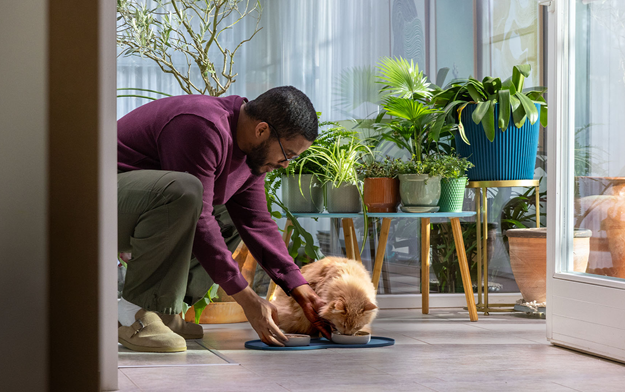 Hill's Pet Nutrition Launches "Try Again", a Natural, Veterinary-Focused Extension of its "Because You're Only Human" Campaign